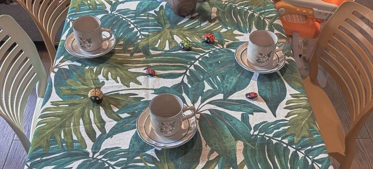 SiempreViva 旅馆由GEstores运营(SiempreViva Hospedaje By GEstores)图片