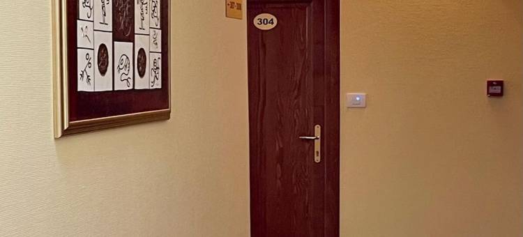 露西之星酒店(Hotel Lucy Star)图片