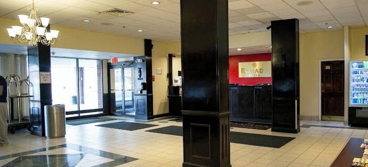 奥尔巴尼广场酒店(Albany Plaza Hotel)图片