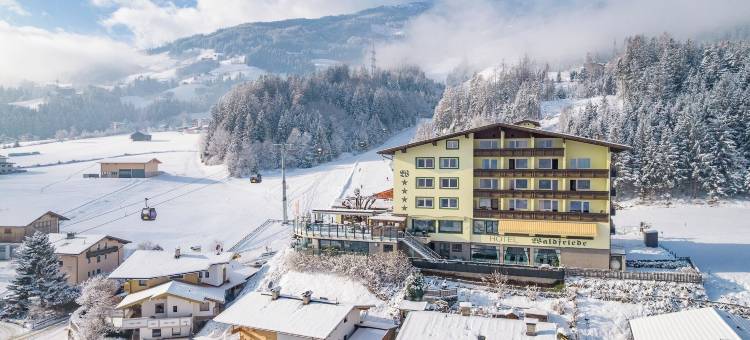 沃尔德弗雷迪酒店(Hotel Waldfriede - der Logenplatz im Zillertal)图片
