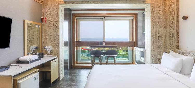 托普斯维尔酒店(Hotel TopsVille)图片