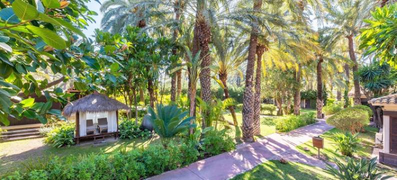 治愈花园酒店(Hotel Huerto del Cura)图片