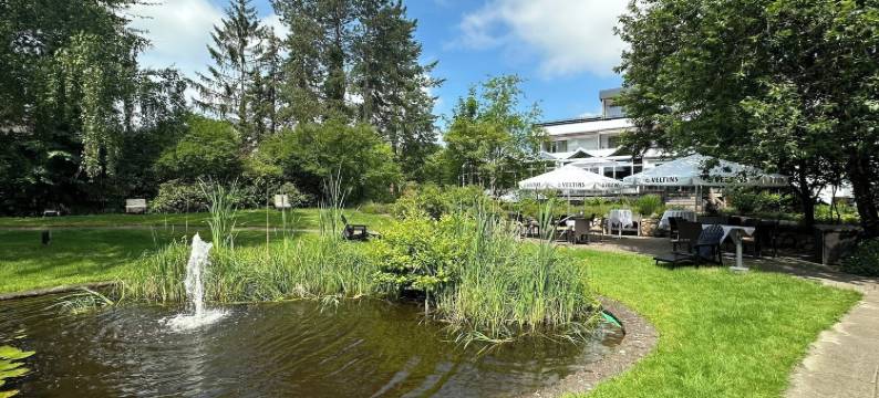 阿斯科纳维塔尔酒店(VitalHotel Ascona)图片