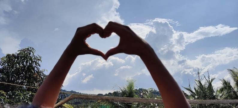 施拉瓦尼农场(Shravani Farms)图片