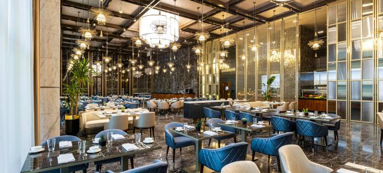 安卡拉大酒店(Grand Ankara Hotel Convention Center)图片