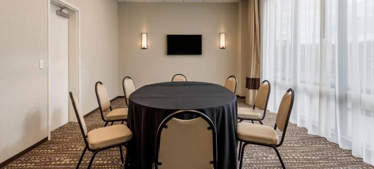 匹兹堡北岸舒适套房酒店(Comfort Inn & Suites Pittsburgh-Northshore)图片