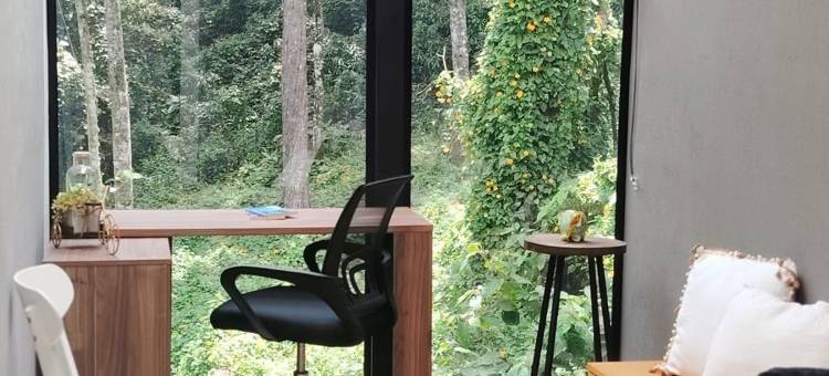 带森林景观的套房公寓(apartasuite con vista al bosque)图片