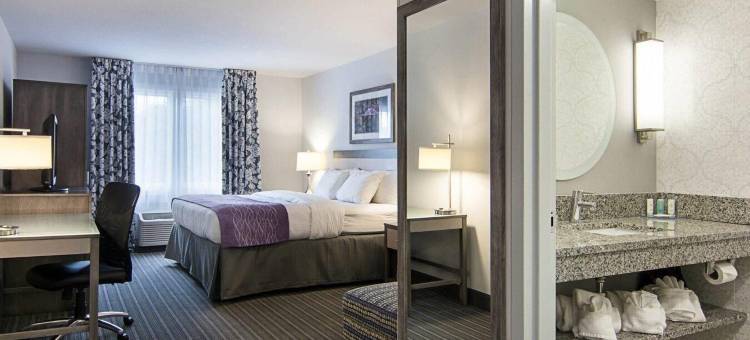 威廉斯堡盖特威舒适酒店(Comfort Inn Williamsburg Gateway)图片