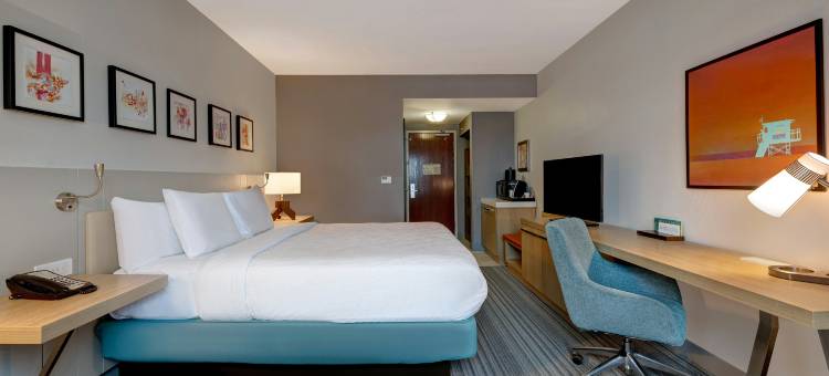 坦帕西北奥尔兹马希尔顿花园酒店(Hilton Garden Inn Tampa Northwest/Oldsmar)图片
