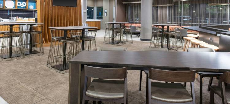 亚特兰大阿尔普哈雷塔/罗斯威尔万豪SpringHill Suites酒店(SpringHill Suites Atlanta Alpharetta/Roswell)图片