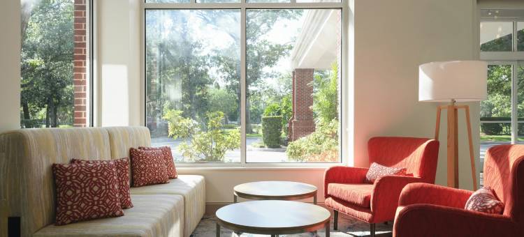 东坦帕/布兰登希尔顿花园酒店(Hilton Garden Inn Tampa-East/Brandon)图片