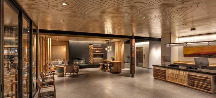 凯悦尚选The Wildbirch酒店(The Wildbirch Hotel - JdV by Hyatt)图片