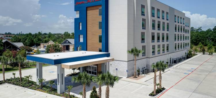 谢南多厄伍德兰希尔顿欢朋酒店(Hampton Inn & Suites by Hilton Shenandoah the Woodlands)图片