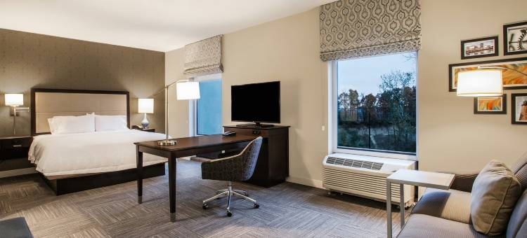 罗彻斯特彭菲尔德希尔顿欢朋酒店(Hampton Inn Rochester-Penfield)图片