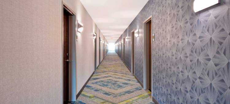 底特律泰勒希尔顿惠庭酒店(Home2 Suites by Hilton Taylor Detroit)图片
