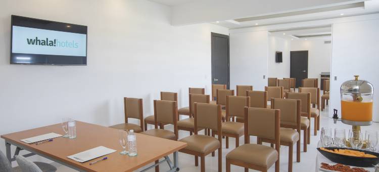 华拉城市蓬塔卡纳酒店(Hotel Whala!Urban Punta Cana)图片