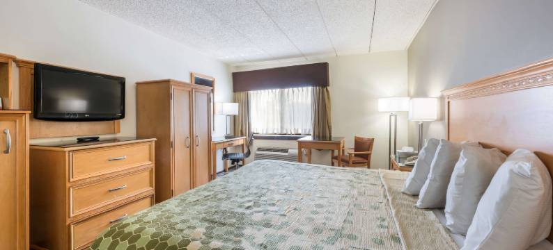 伊可洛吉酒店(Econo Lodge Quakertown)图片
