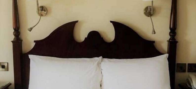 三叶草酒店(Shamrock Inn Hotel)图片