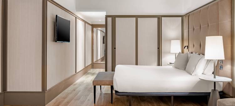 阿梅里卡大街万豪AC酒店(AC Hotel Avenida de America)图片