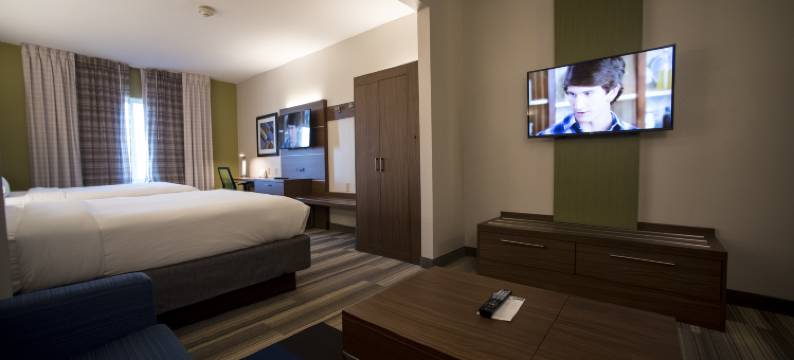 智选假日酒店及套房-列克星敦市中心大学-洲际酒店集团旗下(Holiday Inn Express & Suites LEXINGTON-DOWNTOWN/UNIVERSITY by IHG)图片