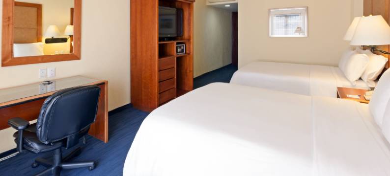 瓦哈卡 - 历史中心智选假日酒店(Holiday Inn Express OAXACA-CENTRO HISTORICO by IHG)图片