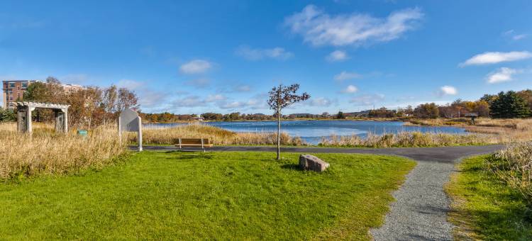 圣约翰斯政府中心假日酒店(Holiday Inn ST. John's Conference Centre)图片