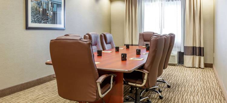 阿米什乡村舒适套房酒店(Comfort Suites Lancaster Amish Country)图片