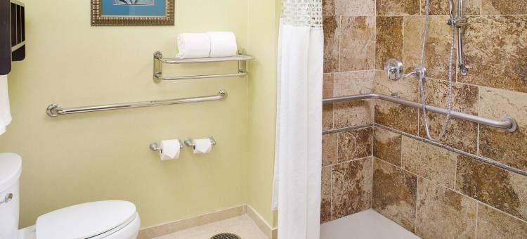 达拉斯路易斯维尔维斯塔里奇购物中心欢朋套房酒店(Hampton Inn & Suites Dallas-Lewisville/Vista Ridge Mall)图片