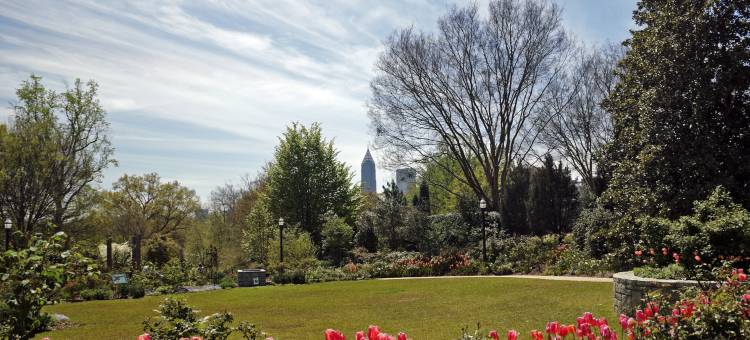 亚特兰大-巴克海特金普顿西尔文酒店(Kimpton Sylvan Atlanta - Buckhead)图片