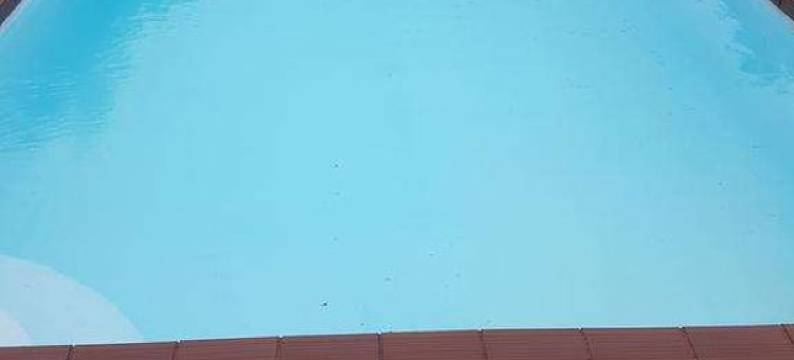 亚拉腊汽车旅馆(Ararat Colonial Lodge Motel)图片