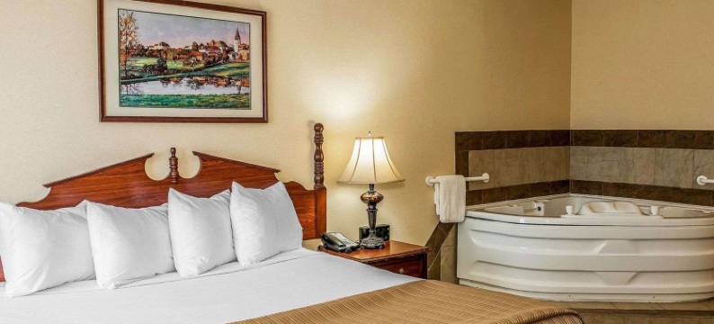 呗盟酒店南本德圣母大学(Baymont by Wyndham South Bend Near Notre Dame)图片