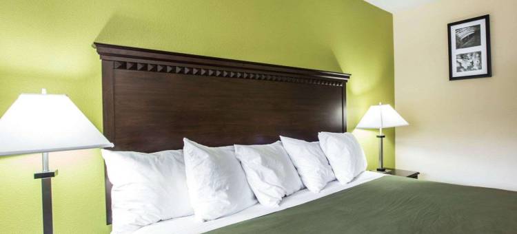 比尔特莫尔伊康旅馆(Econo Lodge Biltmore)图片