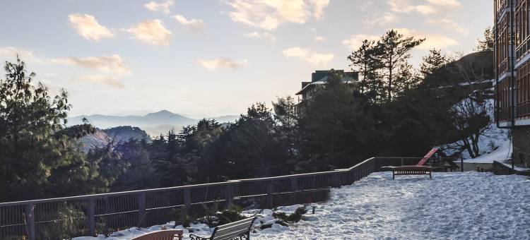泰地欧赫希米拉度假村及水疗中心(Taj Theog Resort & Spa Shimla)图片