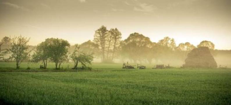 Hotel Barczyzna Medical Spa图片