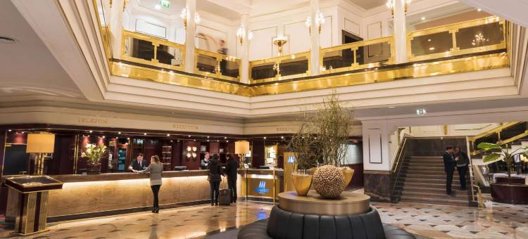 乌尔姆玛丽酒店(Maritim Hotel Ulm)图片