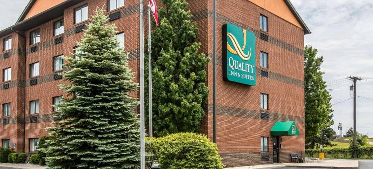 舒适酒店(Comfort Inn)图片