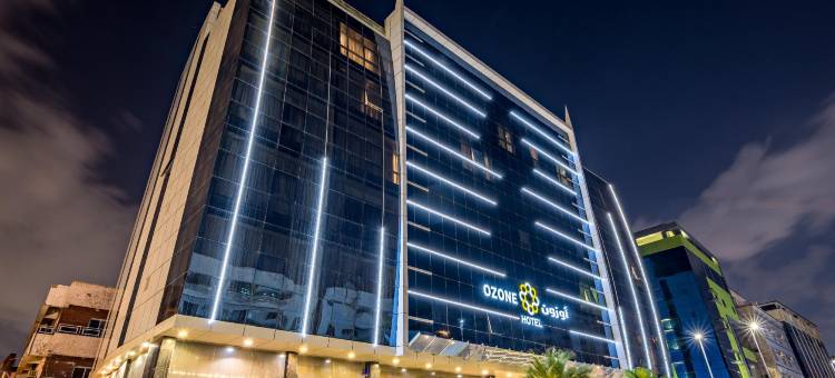 欧荣酒店(Ozone Hotel)图片