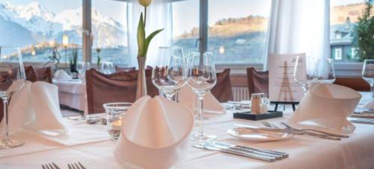 阿尔卑霍夫酒店(Hotel Alpenhof)图片