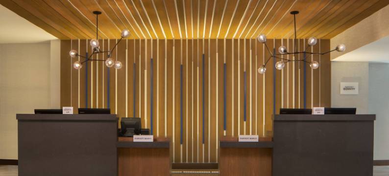 亚特兰大周界中心万豪酒店(Atlanta Marriott Perimeter Center)图片