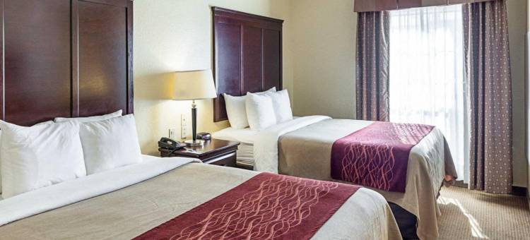 希尔顿Spark圣安东尼奥近海洋世界(Spark by Hilton San Antonio Near Seaworld)图片