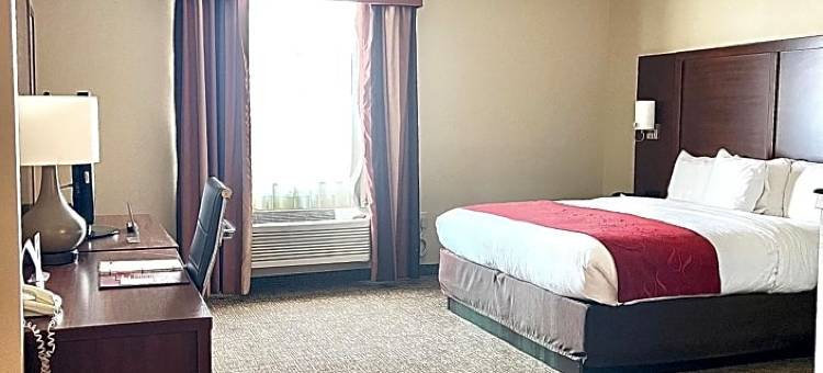 舒适套房酒店-德克萨斯大道(Comfort Suites Texas Ave)图片