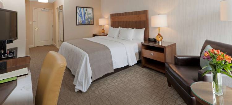 匹兹堡绿树希尔顿逸林酒店(DoubleTree by Hilton Hotel Pittsburgh - Green Tree)图片