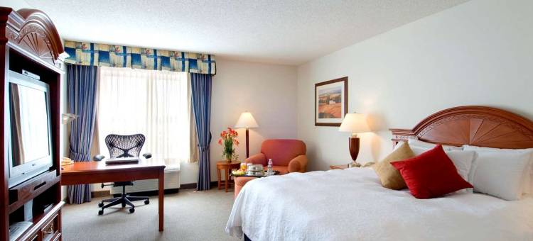 塔尔萨希尔顿花园酒店(Hilton Garden Inn Tulsa Airport)图片