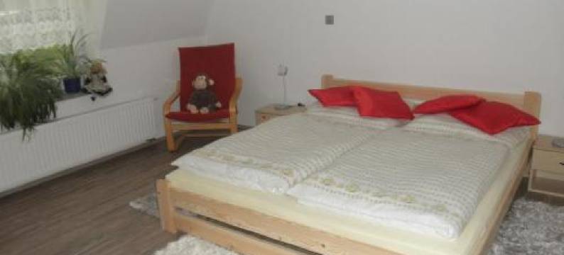 Penzion Vlasta图片