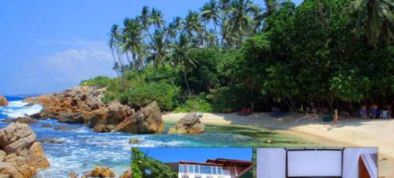 海滨度假旅馆(Seaside House)图片