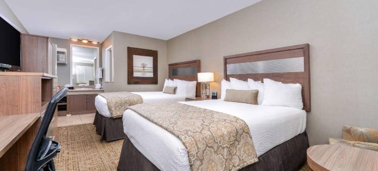 阿纳海姆贝斯特韦斯特优质酒店(Best Western Plus Anaheim Inn)图片