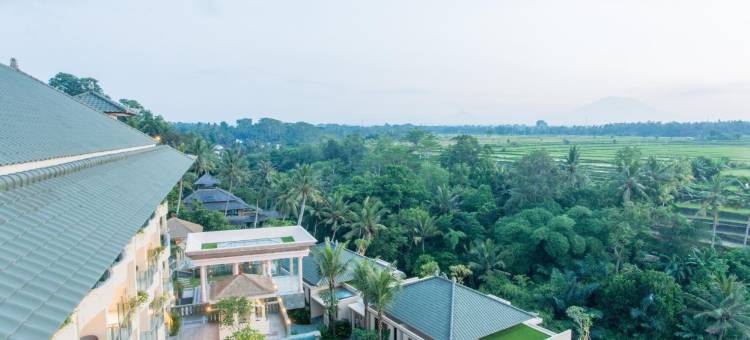 Seres Springs Resort & Spa, Singakerta图片