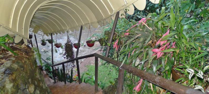 山顶别墅旅馆和餐馆(Mountain Lodge Hotel and Restaurant)图片