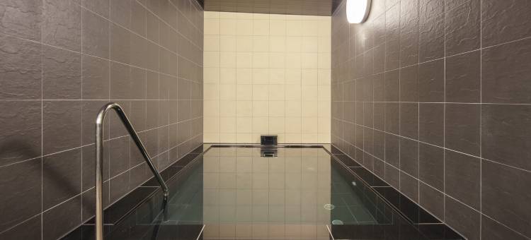 松本赛莱顿酒店(The Celecton Matsumoto)图片