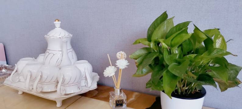 韶山贝贝家精品民宿(滴水洞路分店)图片